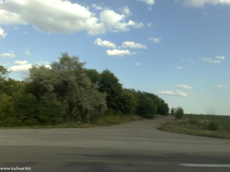 Василівка з panoramio.com - Василівка