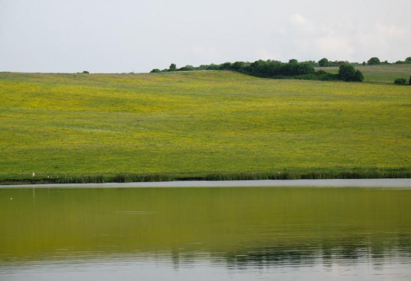 Вільшаниця з panoramio.com - Ольшаница