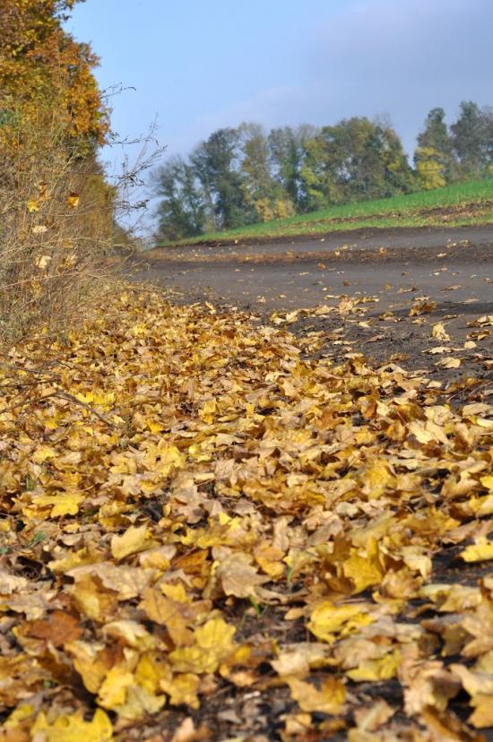 Маринопіль з panoramio.com - Маринопіль
