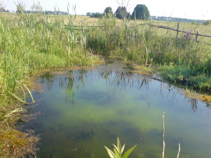 Грушківці з panoramio.com - Грушківці