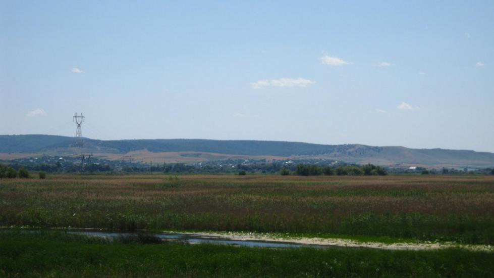 Новосільське з panoramio.com - Novosilske