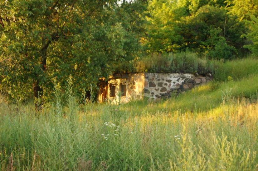 Сорокодуби з panoramio.com - Сорокодубы