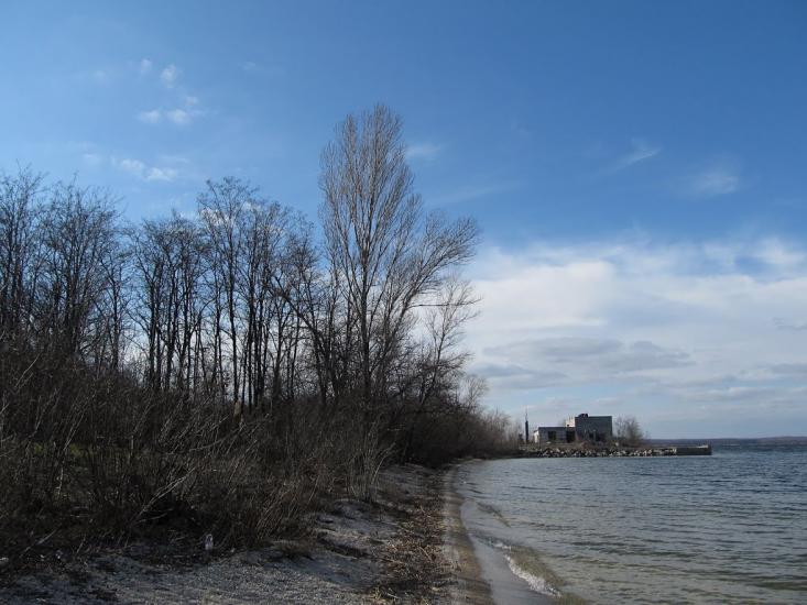 Зелений Гай з panoramio.com - Зеленый Гай