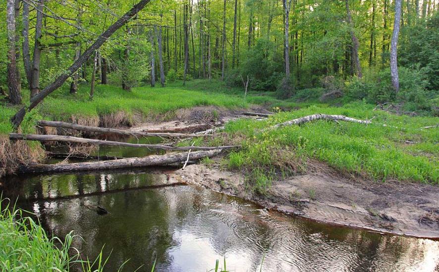 Тепениця з panoramio.com - Тепениця