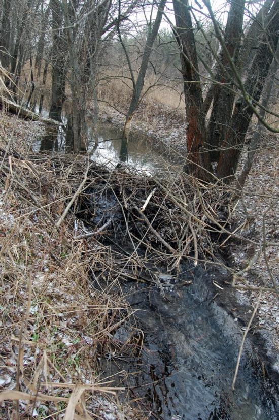 Боровеньки з panoramio.com - Боровеньки