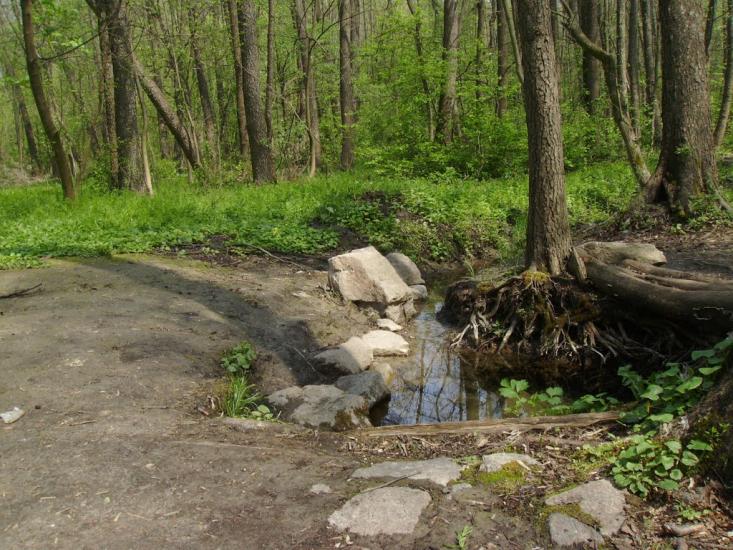 Комарівка з panoramio.com - Комаровка
