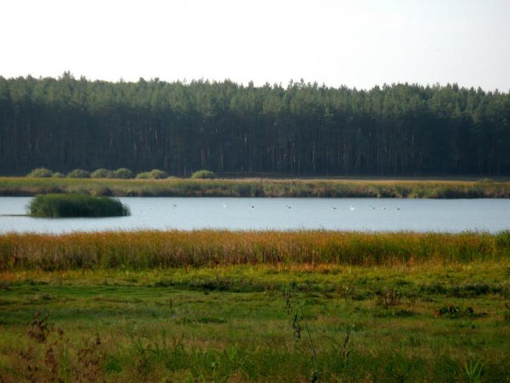 Нехворощ з panoramio.com - Нехворощ
