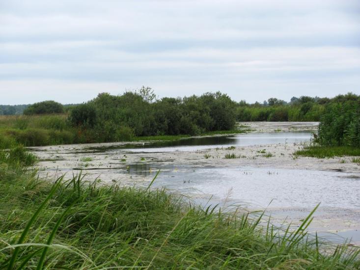 Кузнецовськ з panoramio.com - Varash