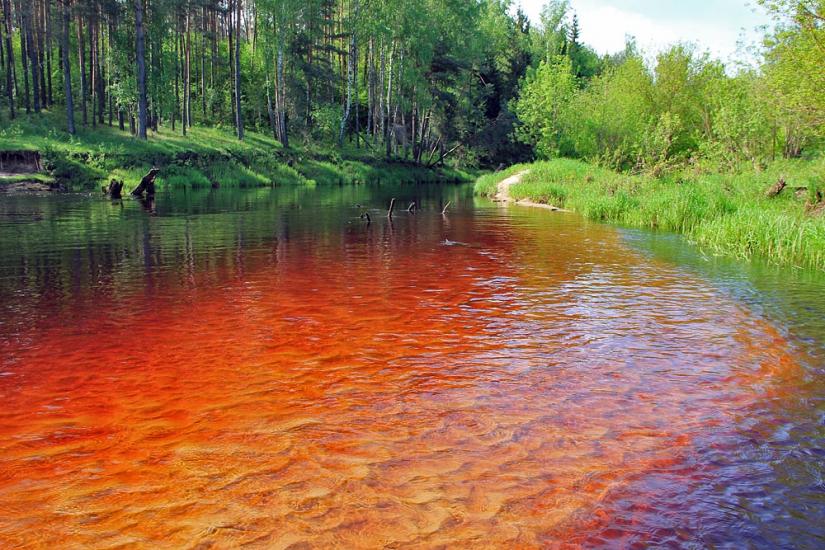 Сущани з panoramio.com - Сущаны