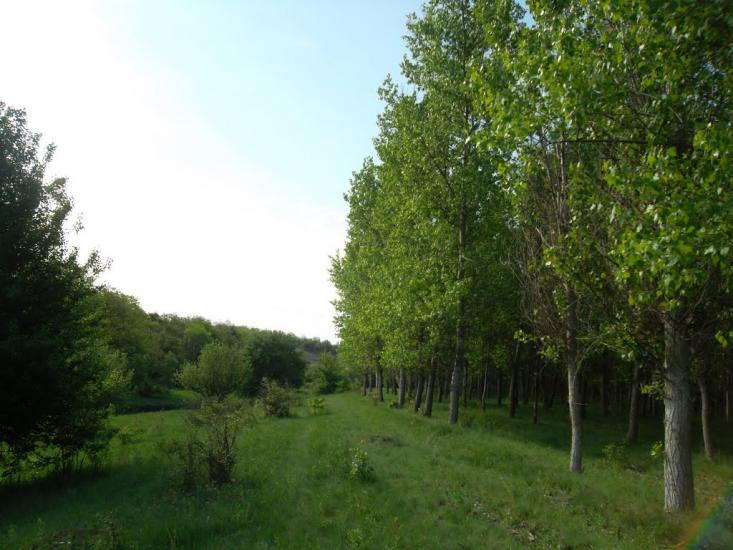 Захарівка з panoramio.com - Захарівка