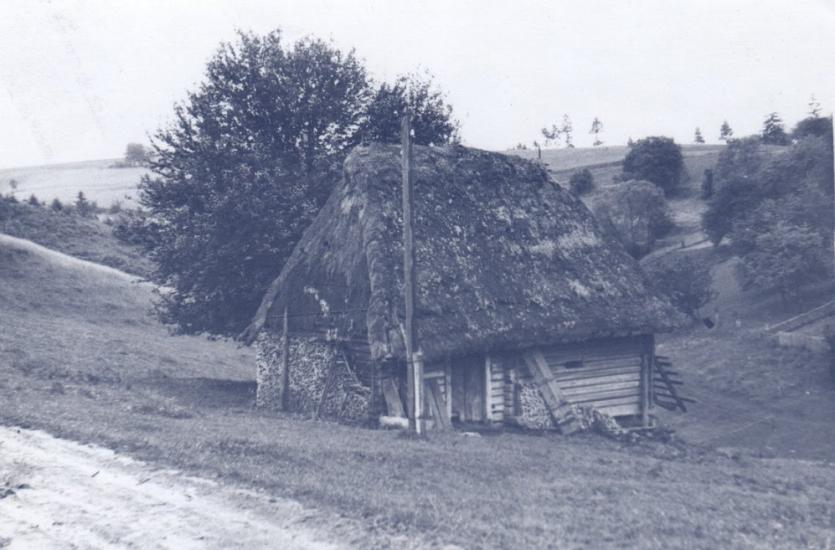 Плав'я з panoramio.com - Плав'я