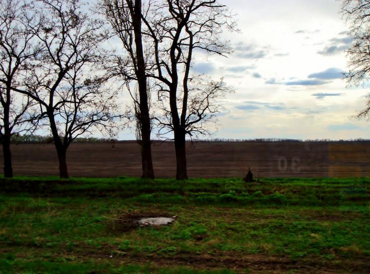 Довгалівське з panoramio.com - Dovgalivske