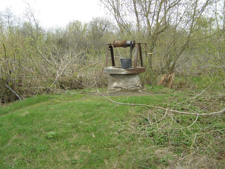 Червоний Кут з panoramio.com - Червоний Кут