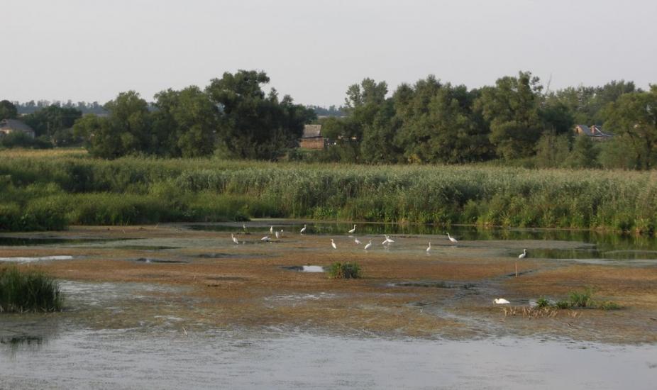 Дмитрівка з panoramio.com - Дмитровка