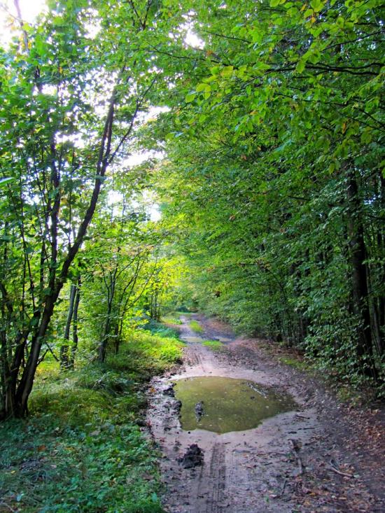 Ромейки з panoramio.com - Ромейки