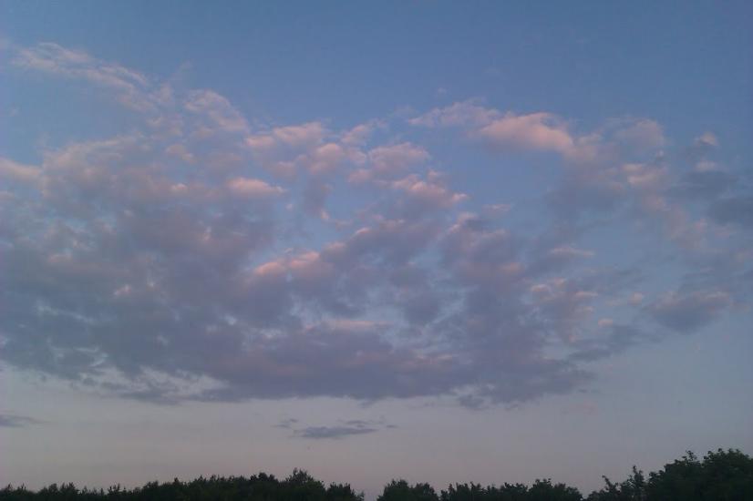 Чайки з panoramio.com - Чайки