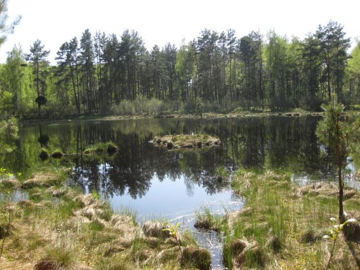 Шадура з panoramio.com - Шадура