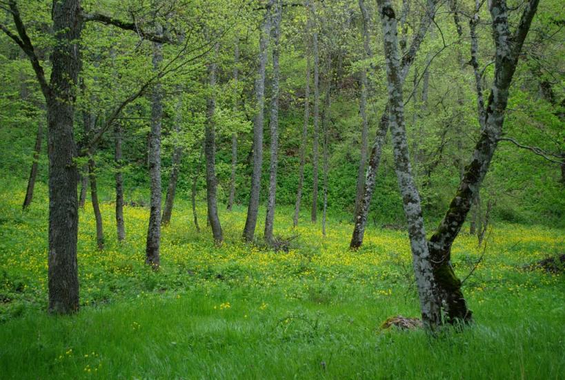 Міжріччя з panoramio.com - Міжріччя