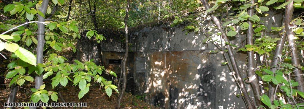 Дев'ятир з panoramio.com - Девятир