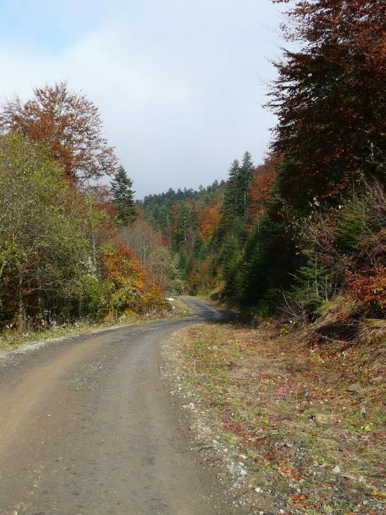 Боберка з panoramio.com - Боберка