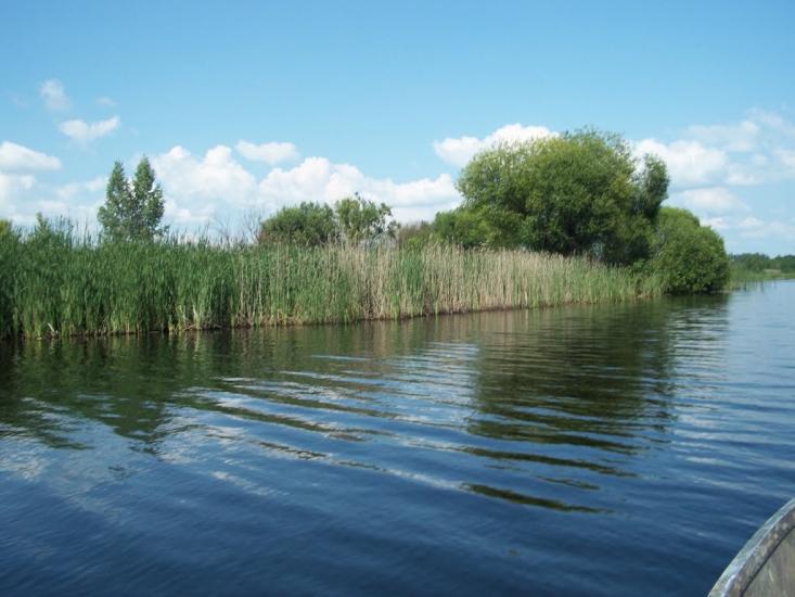 Тепениця з panoramio.com - Тепеница