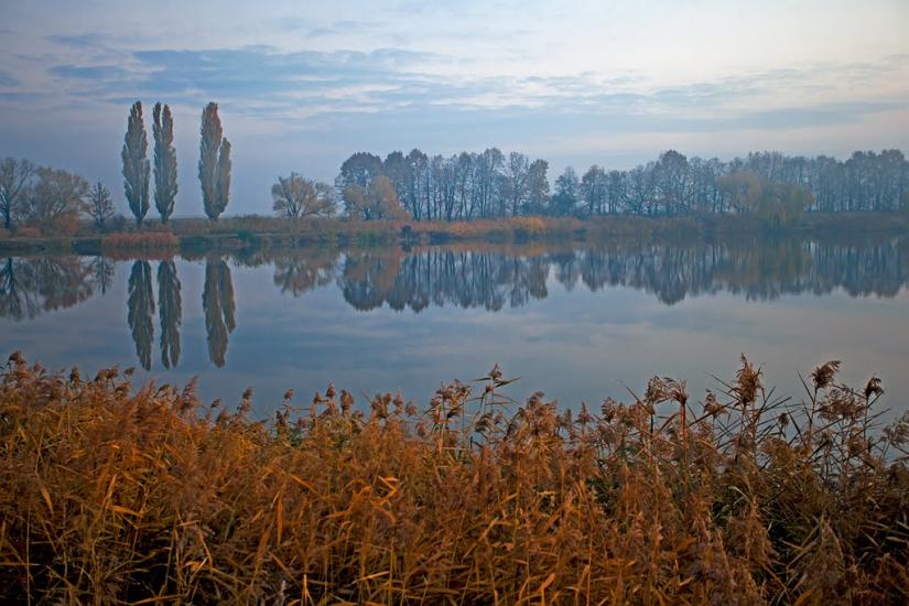 Піщана з panoramio.com - Піщана