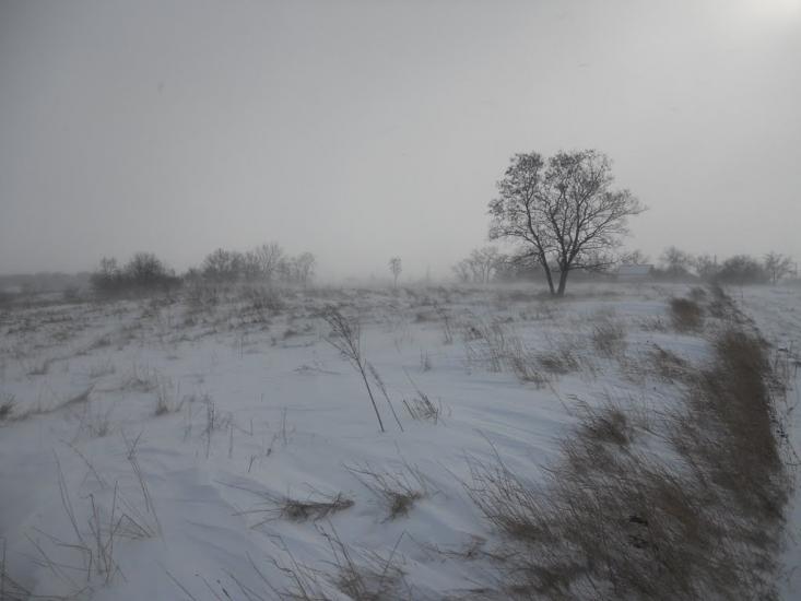 Першотравенка з panoramio.com - Первотравенка