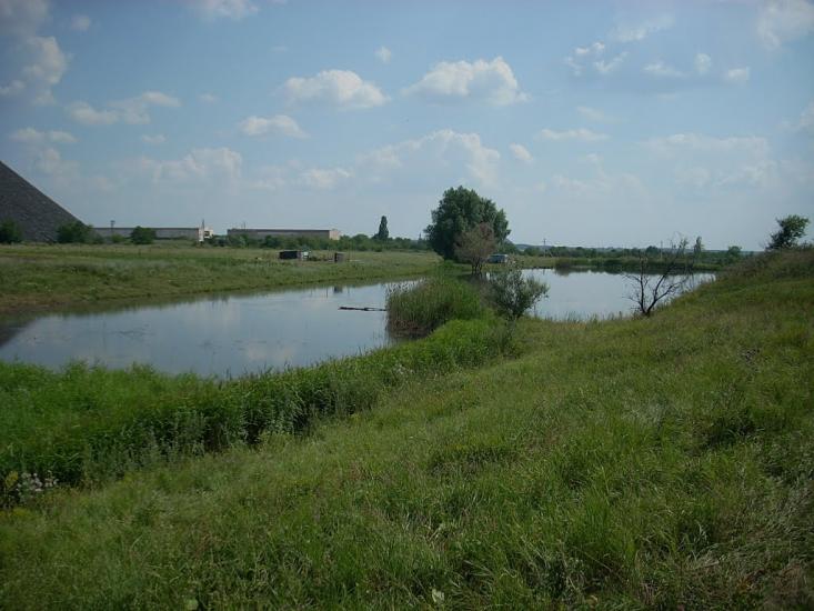 Лози з panoramio.com - Лози