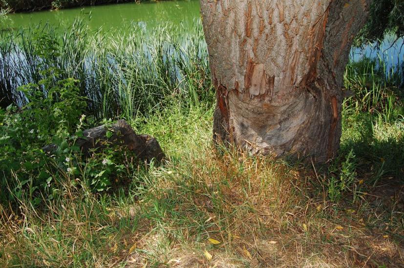 Таганка з panoramio.com - Таганка