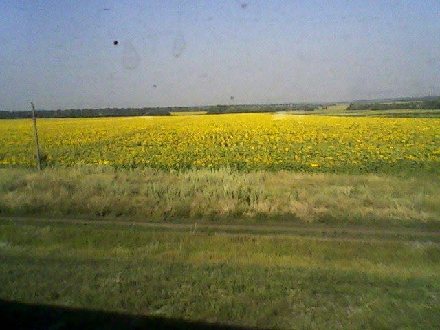 Василівське з panoramio.com - Василівське