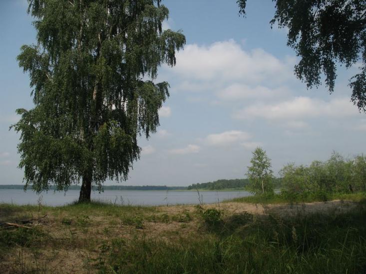 Невір з panoramio.com - Невір
