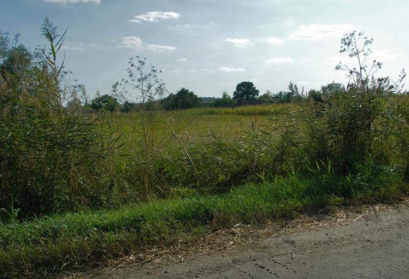 Дмитрівка з panoramio.com - Дмитровка