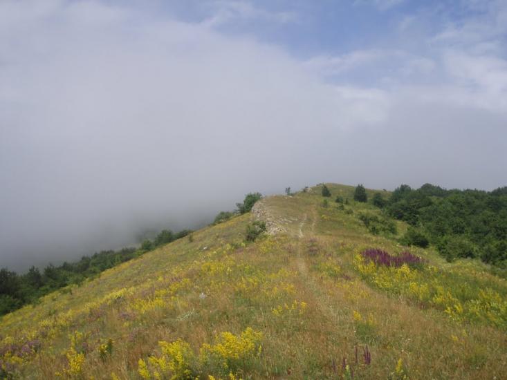 Міжріччя з panoramio.com - Mizhrichchya