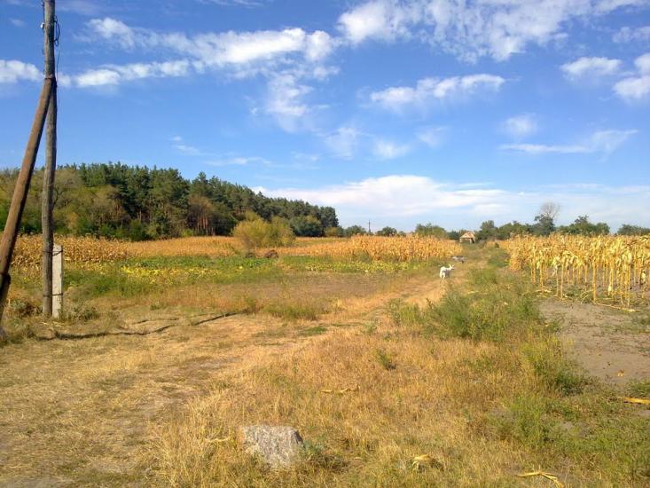 Олександрівка з panoramio.com - Олександрівка