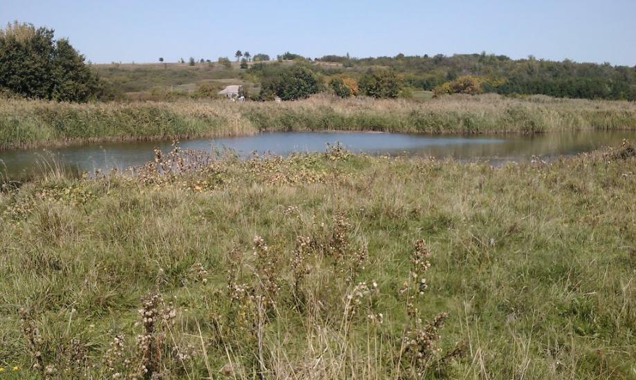 Софіївка з panoramio.com - Софиевка