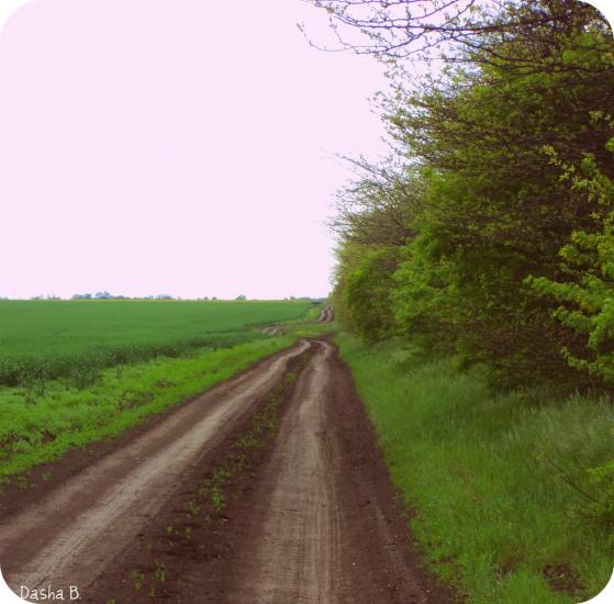 Дачне з panoramio.com - Dachne