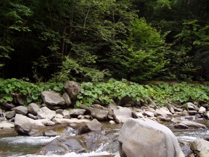 Чорноголова з panoramio.com - Черноголова