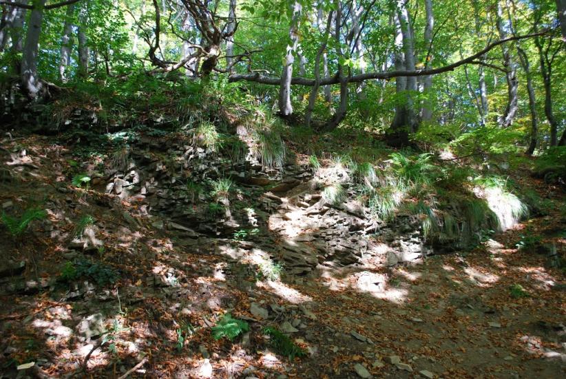 Дев'ятир з panoramio.com - Девятир