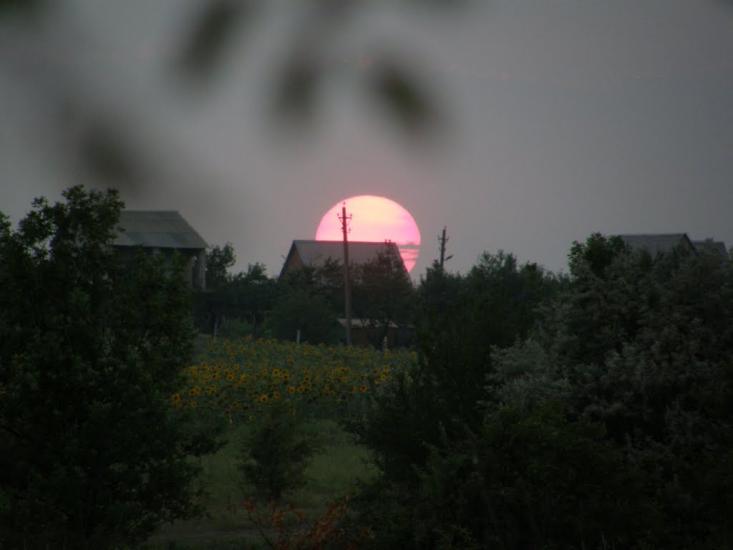 Кіровка з panoramio.com - Даниловка