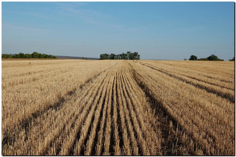 Колядівка з panoramio.com - Колядовка