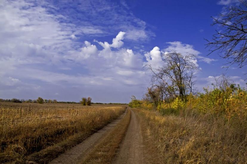 Катеринівка з panoramio.com - Катеринівка
