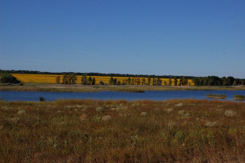 Колядівка з panoramio.com - Колядовка