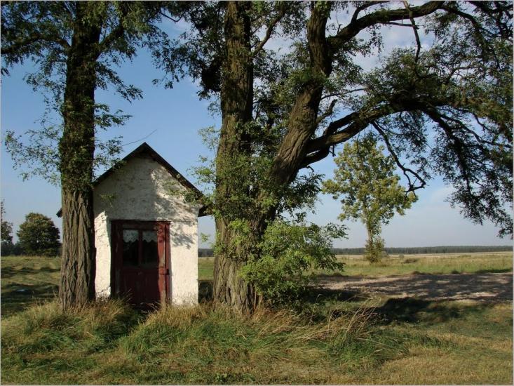 Дев'ятир з panoramio.com - Девятир