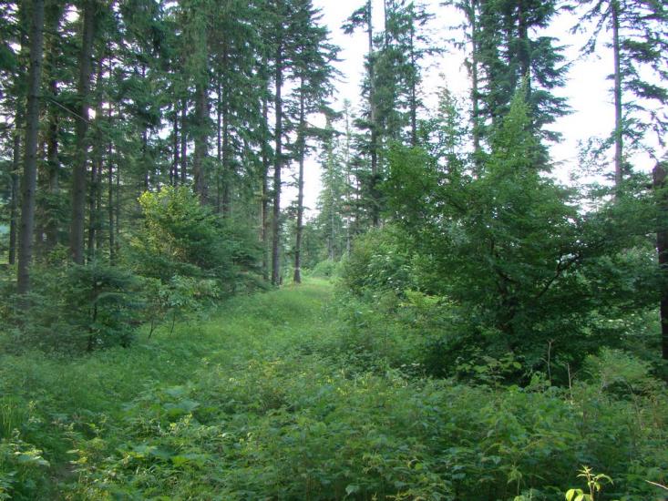Красноїльськ з panoramio.com - Красноильск