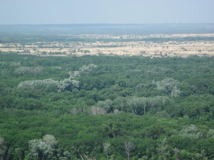 Великий Суходіл з panoramio.com - Великий Суходол