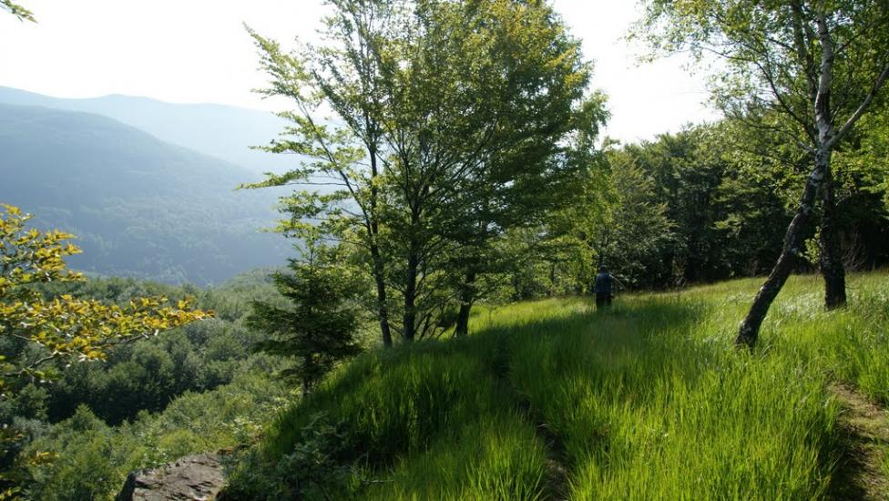 Синяк з panoramio.com - Синяк