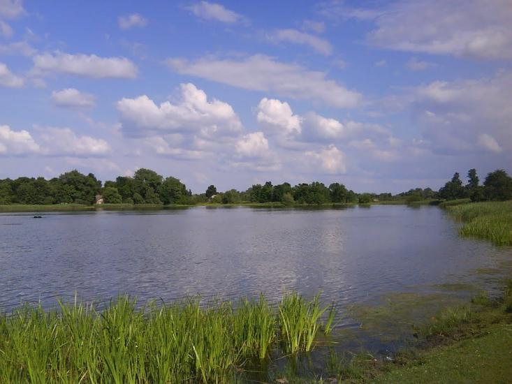 Судче з panoramio.com - Судче