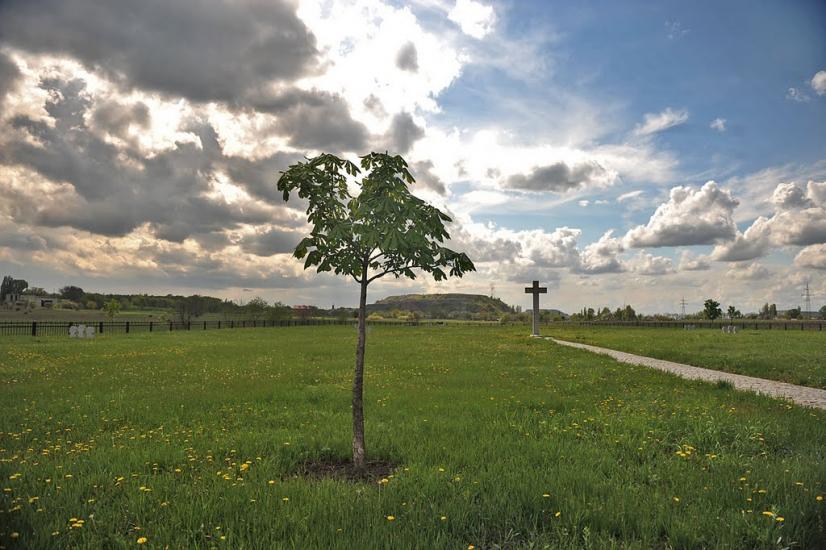 Піски з panoramio.com - Піски