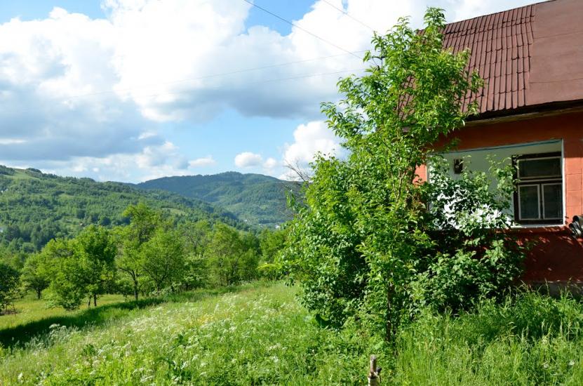 Тополин з panoramio.com - Тополин