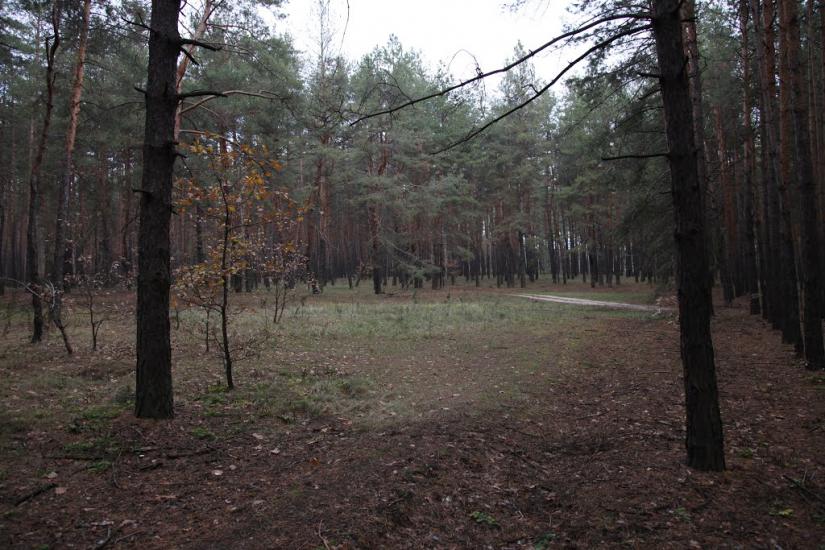 Олександрівка з panoramio.com - Олександрівка